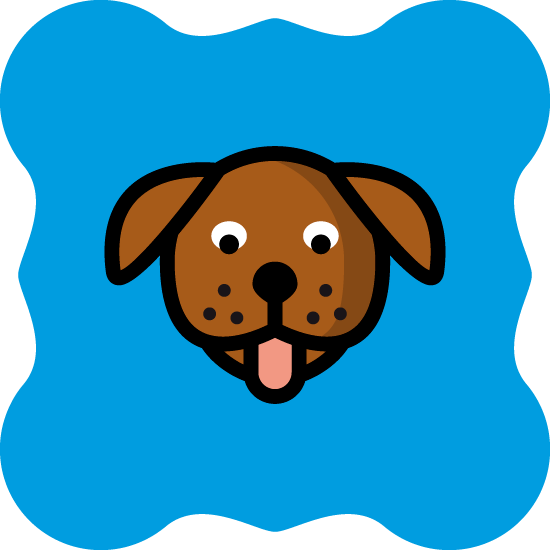 ikonadog
